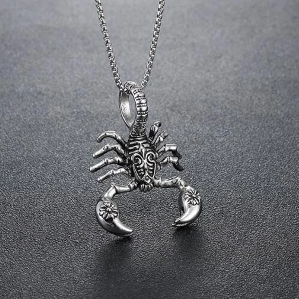 ❤️Retro Stainless steel scorpion pendant necklace for women/men, N90201P195